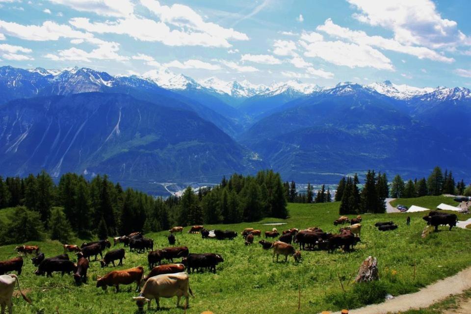 Le Mayen De Colombire Crans-Montana Exterior foto